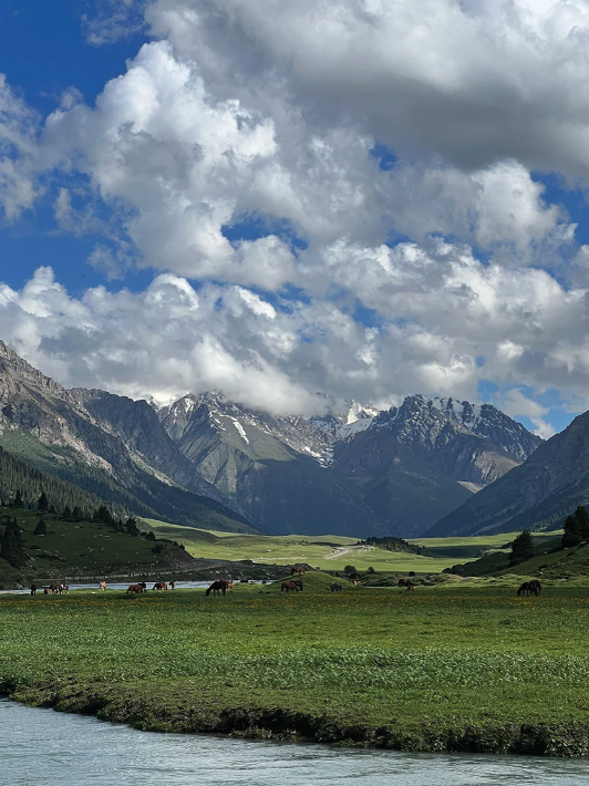 Kyrgyzstan Nomad Games Expedition — Bishkek & Tien Shan, Kyrgyzstan
