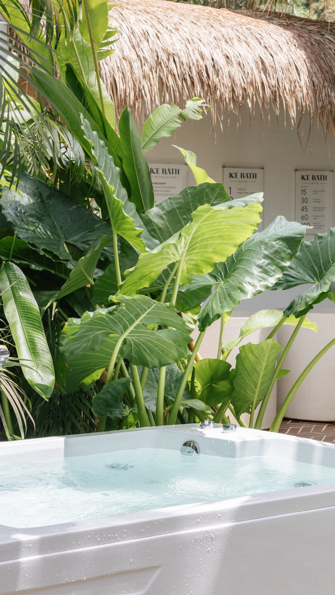Marshmellow Surf & Wellness — Private Room